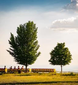 Oxygen Adrenalin Park