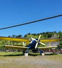 Oxygen Adrenalin Park