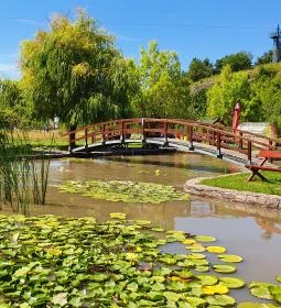 Oxygen Adrenalin Park