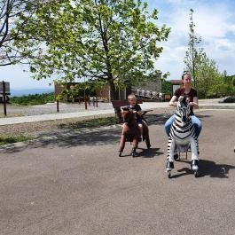 Oxygen Adrenalin Park Gyöngyös - Egyéb