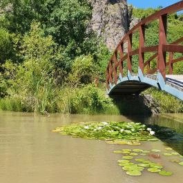 Oxygen Adrenalin Park Gyöngyös - Egyéb