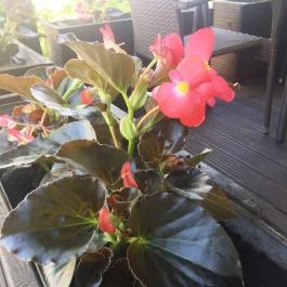 Hotel Opál Gyöngyös - Környék