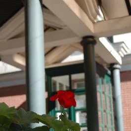 Napsugár Hotel Gyopárosfürdő - Egyéb