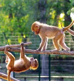 3. legjobb látnivaló: Xantus János Állatkert Győr