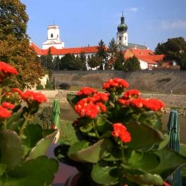 Captain Drake's Pub Győr - Egyéb