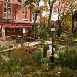 Golden Ball Club Győr - Egyéb