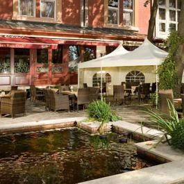 Golden Ball Club Győr - Egyéb