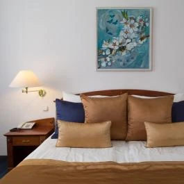 Hotel Fonte Győr - Szobák