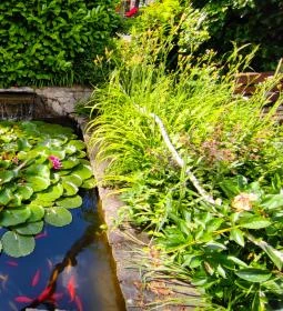 Golden Ball Club Hotel