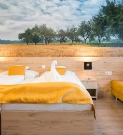 Gyirmót Sport & Wellness Hotel