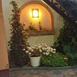 Hotel Isabell Győr - Medence/kert