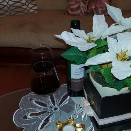 Hotel Isabell Győr - Egyéb