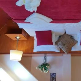 Hotel Isabell Győr - Egyéb