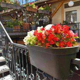Hotel Isabell Győr - Medence/kert
