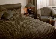 Hotel Schweizerhof Győr