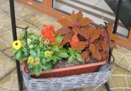 Hotel Szieszta Győr