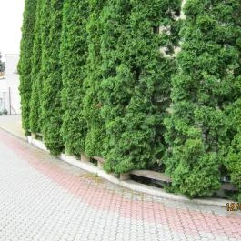 Hotel Szieszta Győr - Medence/kert