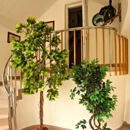 Hotel Wesselényi Győr - Belső