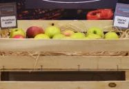 Ibis Hotel Győr Győr