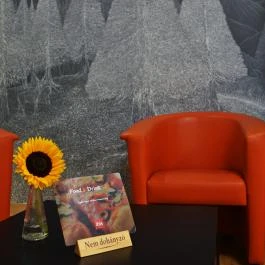 Ibis Hotel Győr Győr - Belső