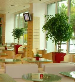 Ibis Hotel Győr