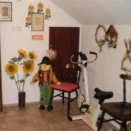 Vén Ház Győr - Szórakozás/Sport