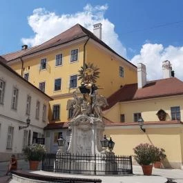 Frigyláda-szobor Győr - Egyéb