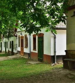 Györkönyi Pincehegy