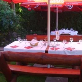 Aranypatkó Panzió étterme Győrújbarát - Egyéb