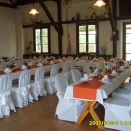 Aranypatkó Panzió étterme Győrújbarát - Egyéb