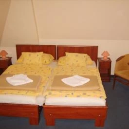 Aranypatkó Panzió étterme Győrújbarát - Egyéb