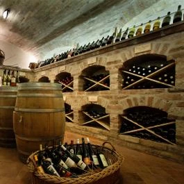 Paperdői Borudvar Győrújbarát - Egyéb