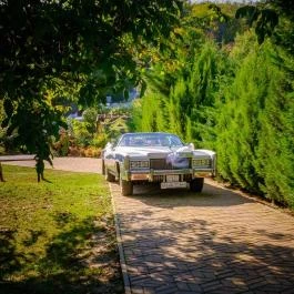 Paperdői Borudvar Győrújbarát - Egyéb