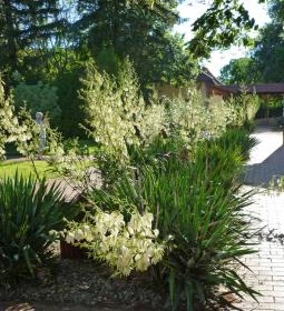 9. legjobb látnivaló: Gyulavári Kastély