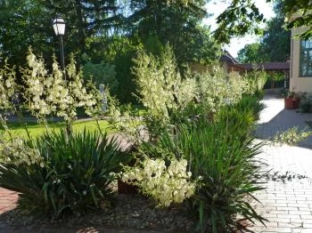 Gyulavári Kastély Gyula