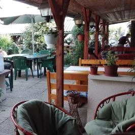 Agod Apartman Gyula - Medence/kert