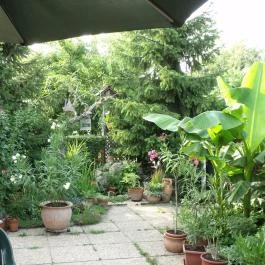 Agod Apartman Gyula - Medence/kert