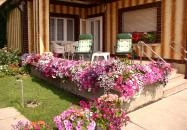 Amália Apartman Gyula