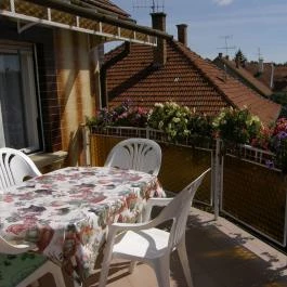 Amália Apartman Gyula - Medence/kert