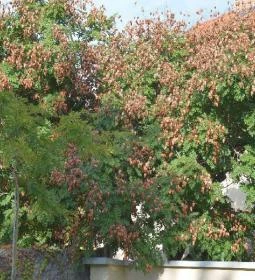 Belvárosi Apartmanház 