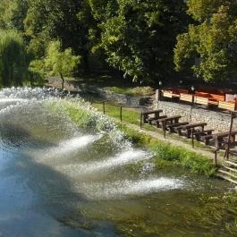 Cseresznye Apartman Gyula - Környék