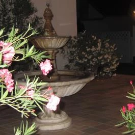 Csigaház Panzió Gyula - Egyéb