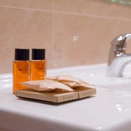 Elizabeth Hotel Gyula - Szobák