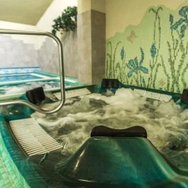 Elizabeth Hotel Gyula - Egyéb