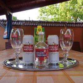 Erika Apartmanház Gyula - Egyéb