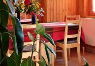 Estike Apartman Gyula