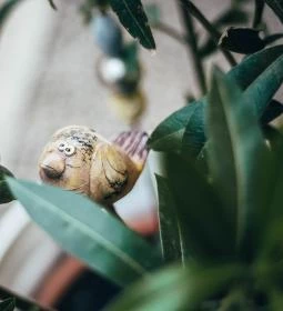 Fészek Apartmanház