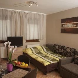 Flóra Apartman Gyula - Egyéb