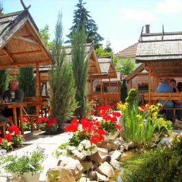 Fodor Hotel Gyula - Medence/kert