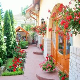 Fodor Hotel Gyula - Medence/kert